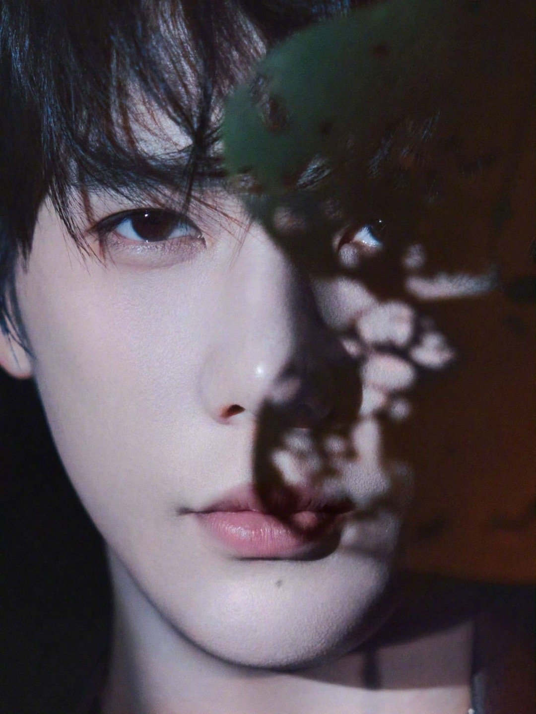 王安宇天色一暗美貌发光 王安宇的美貌仿佛自带“光感调节”系统。当夜色成为他的画布