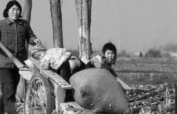 为什么六七十年代农民可以养很多孩子，而今天养一个都费劲？
一些人说六七十年代生活