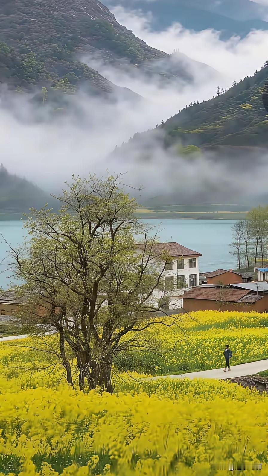 记得大科学家爱因斯坦曾说过；人们在解决世界上遇到的问题靠的主要是大脑的思维与智慧