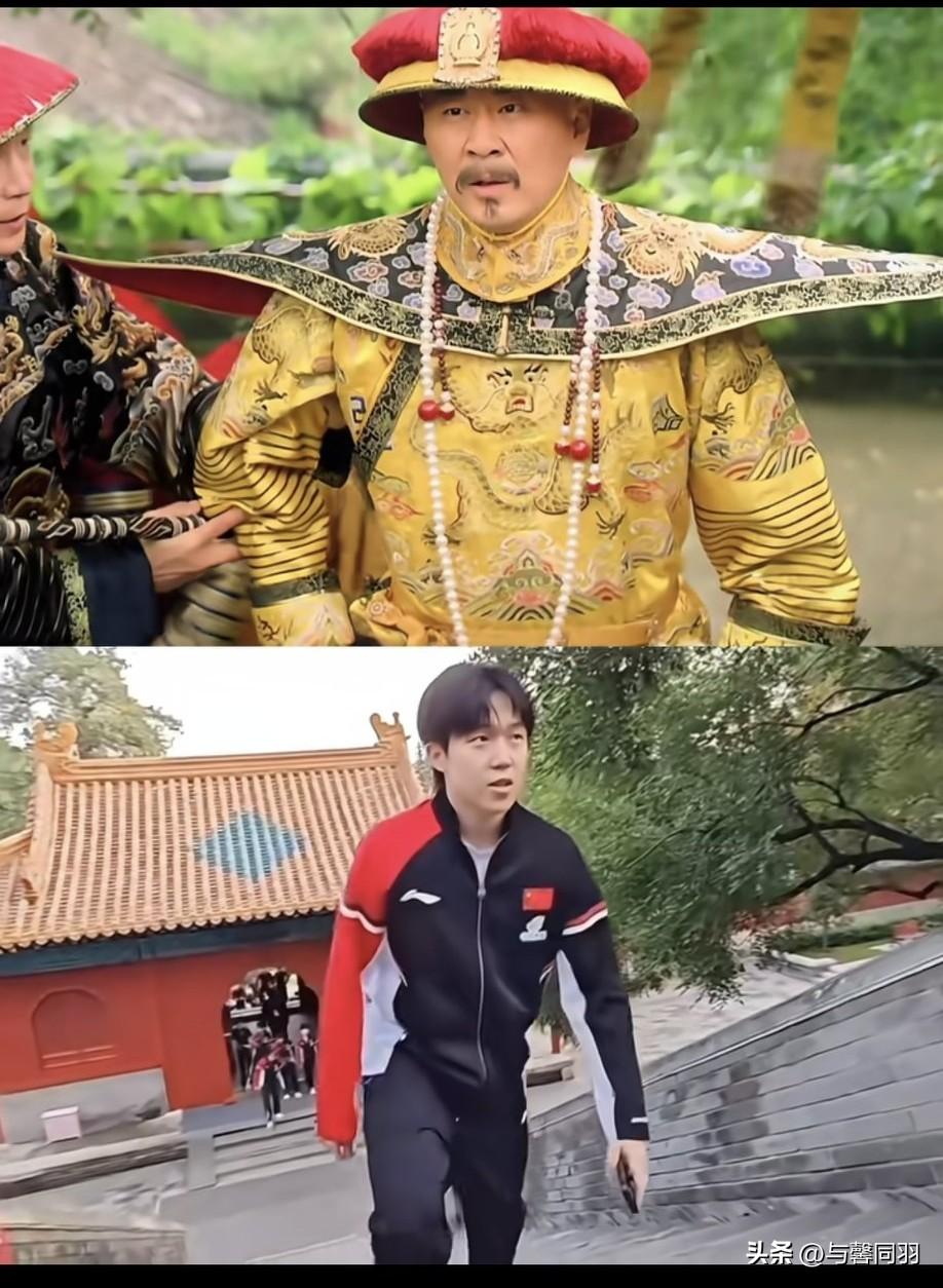 我真是服了这届网友，人怎么可以这么有梗？！
我的同担们，你们真的太有才了！
天不