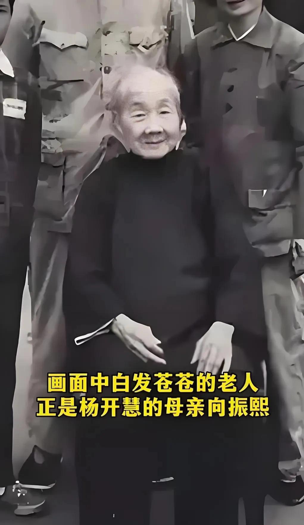 解放后，杨开慧的母亲向振熙老人跪地痛哭，她哭的不是逝去的女儿，而是替那个隐忍二十