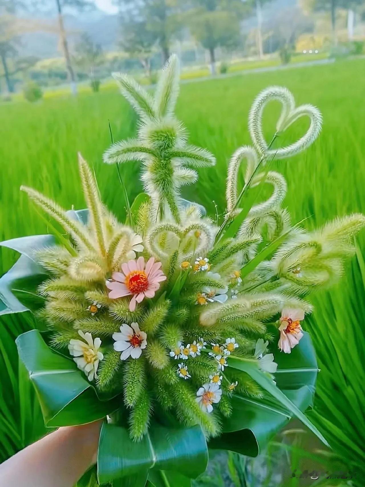 蔡澜的人生智慧：辛苦不必说，挣钱为自由

蔡澜说：“辛苦，不要告诉别人，大家都有