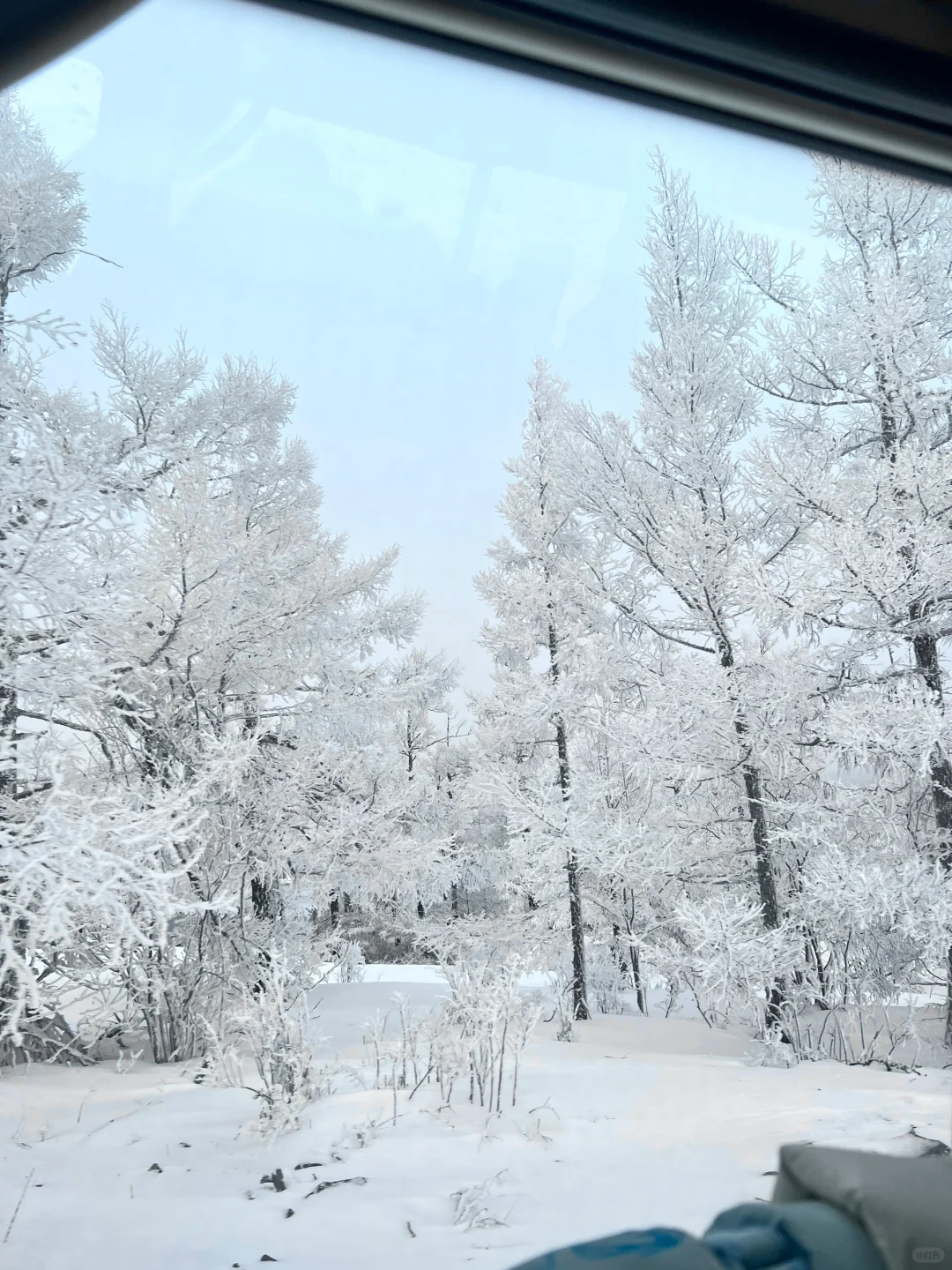 live图里的冰雪世界，美得有点不真实