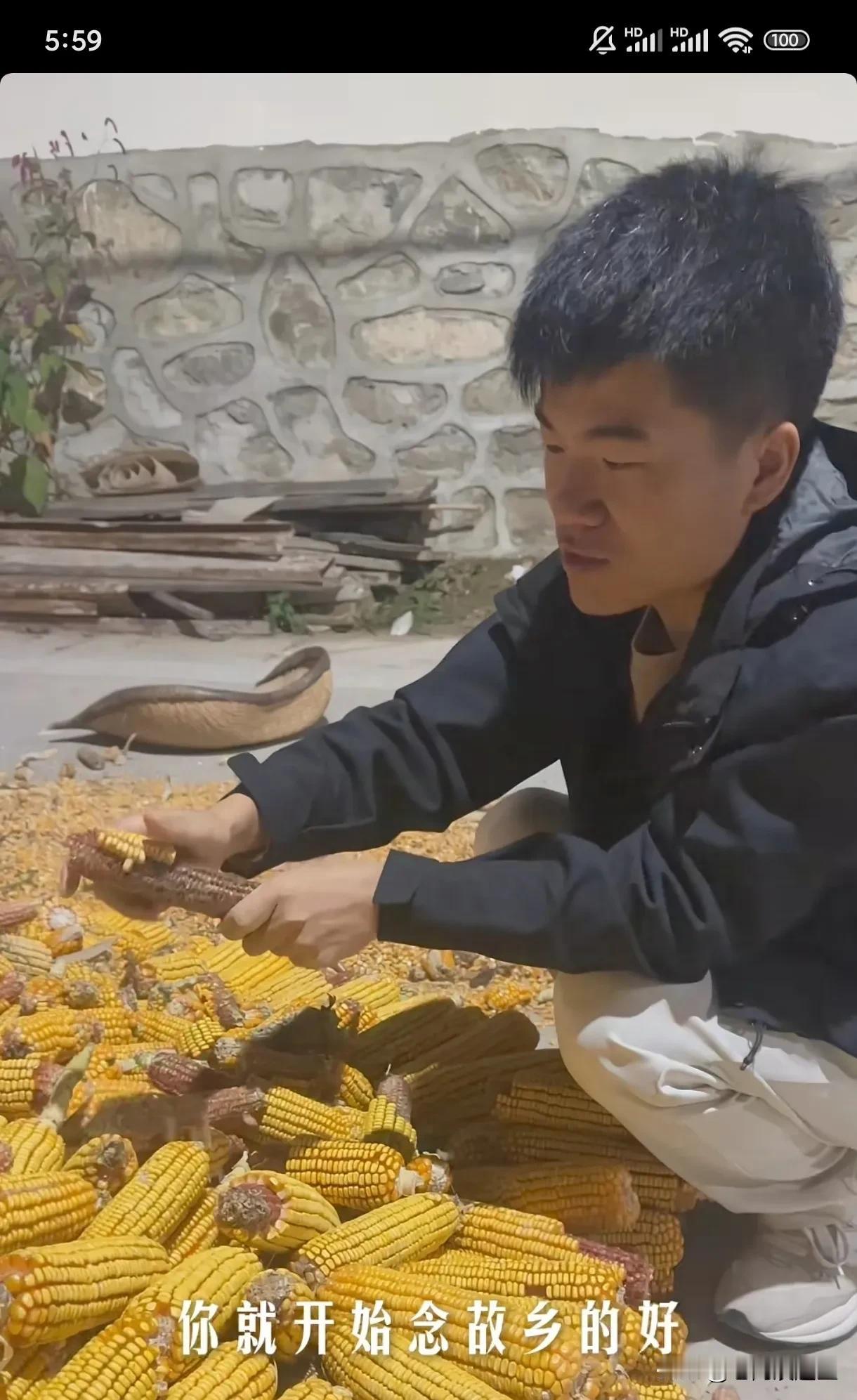陕西专场结束后劲还在，昨天火锅烤肉专场，与辉同行涨粉4万，董老师个人账号涨粉70