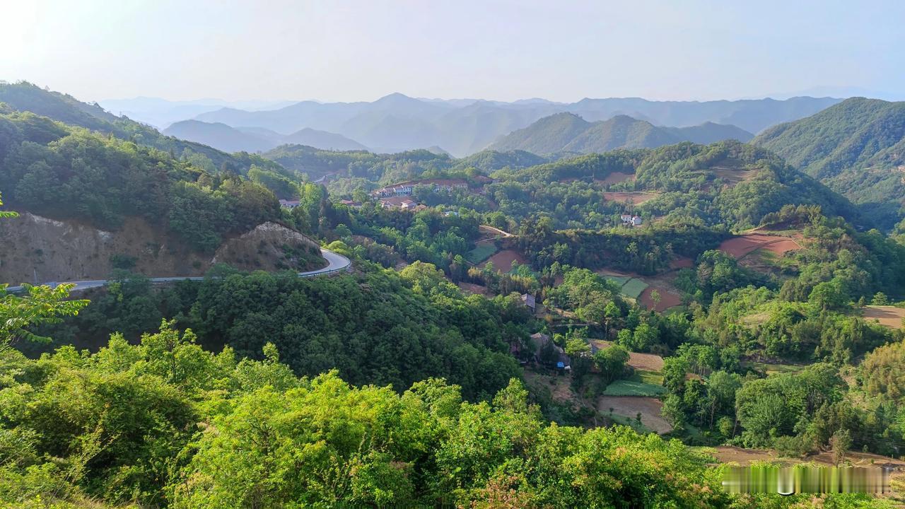 5月2日，清晨推开窗，满目的新绿便扑进眼帘，树叶泛着油亮的光泽，在微风中沙沙轻语