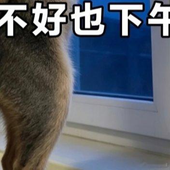 午间充电时间到！吃饱喝足，下午继续乘风破浪！💪下午好