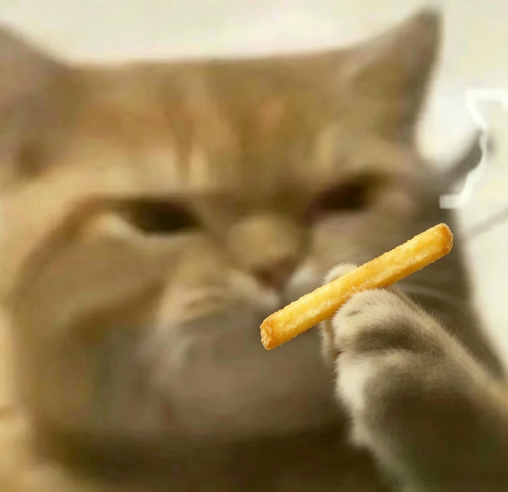 本人将严肃戒🚬，改抽薯条🍟 ​​​