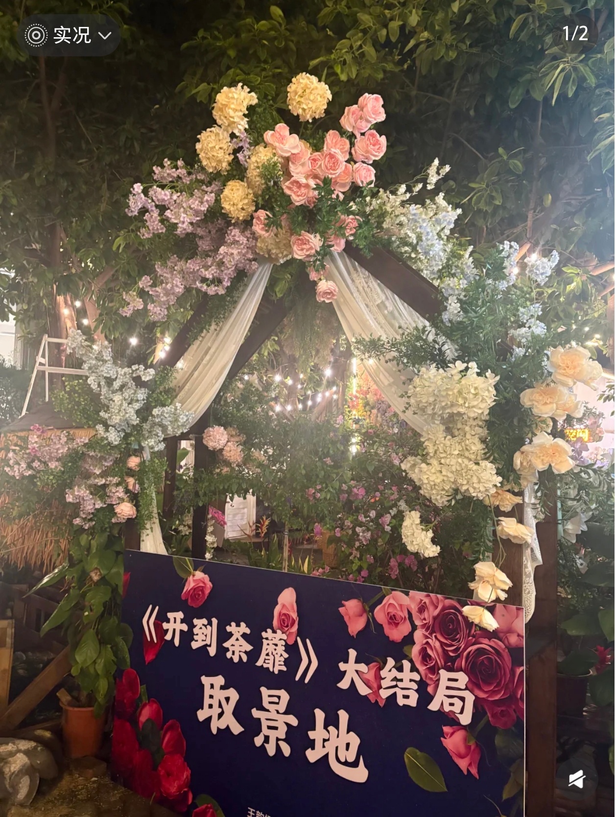 那个花房已经专门安上了取景地的牌子[泪奔]老板太知道白鹿的号召力了吧[阴险] ​