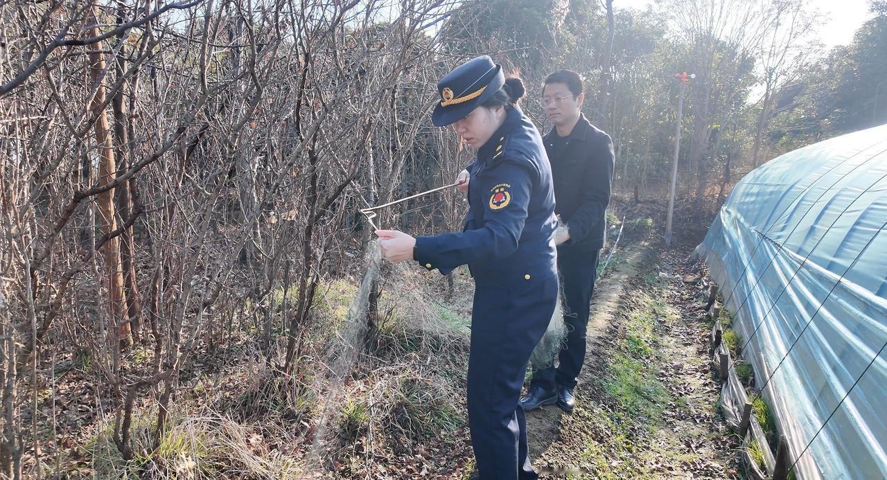 浙就很杭州世界湿地日【世界湿地日，“杭小蓝”的守护密码】2月2日是世界湿地日，富