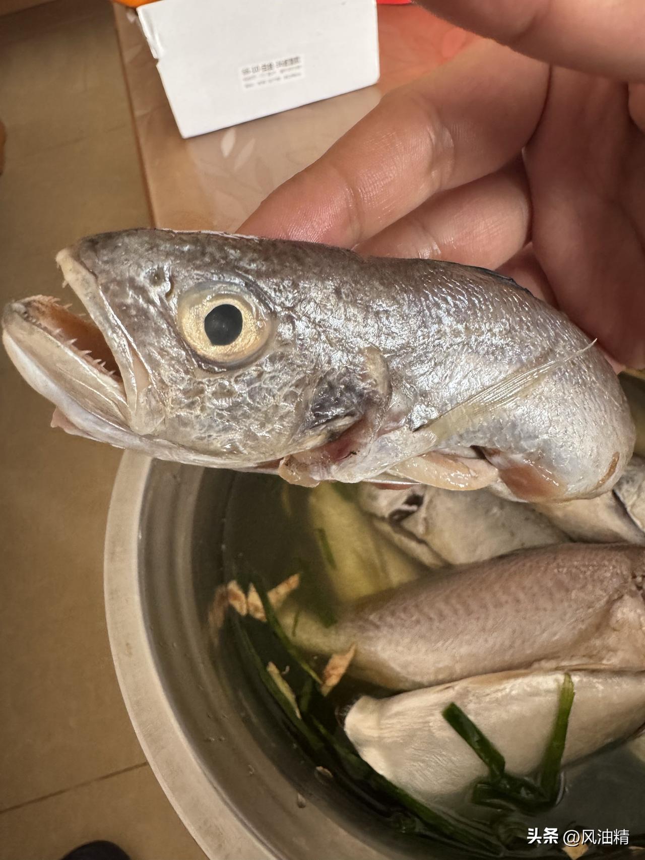 今天买了几条三牙鱼，学名为红牙䱛（拼音：hóng yá huò），也被称为三齿鱼