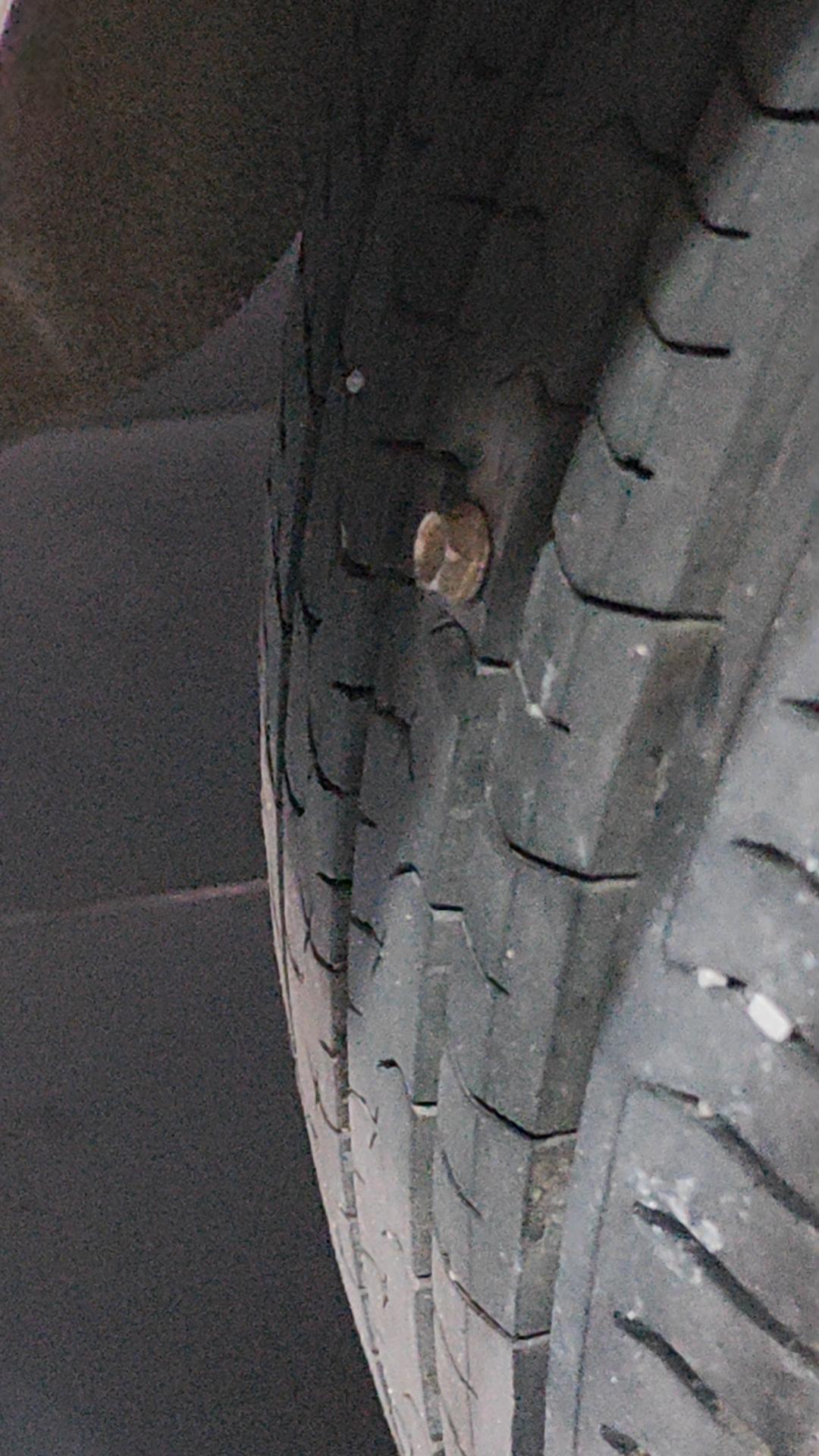 这颗钉子贼贵了