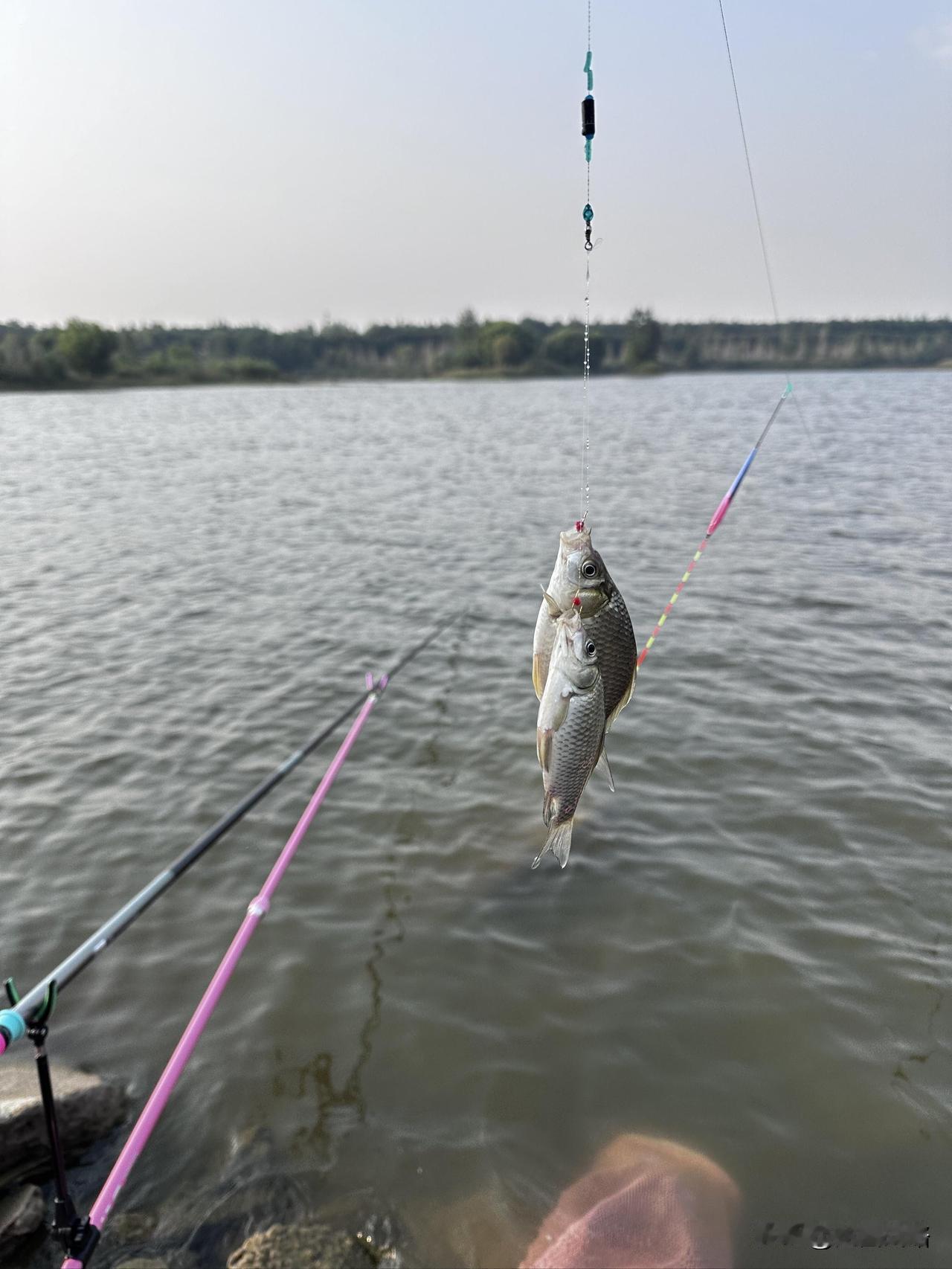 记录我的2026冬季钓鱼总空军？核心原因+终极干货，找准关键直接爆护
 
冬季钓