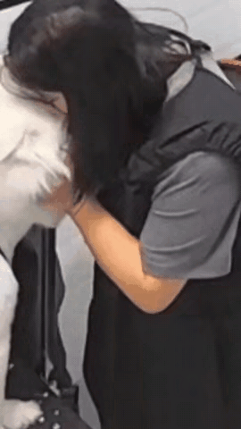 女子太喜欢狗了，她就抱着狗狗亲，可她万万没想到，狗狗反咬一口，这让女子咋办？太疼