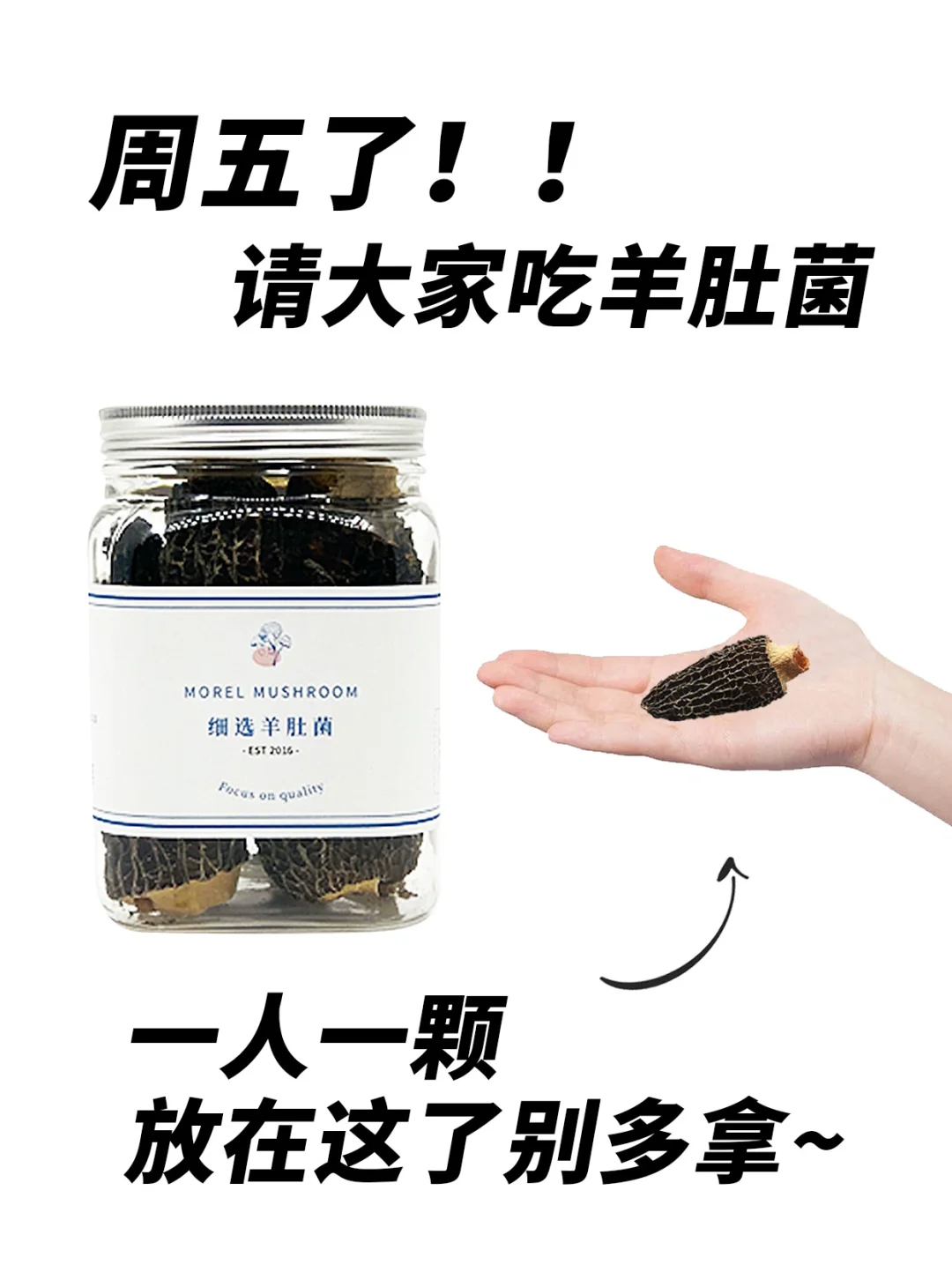 00后运营，周五请大家吃羊肚菌～