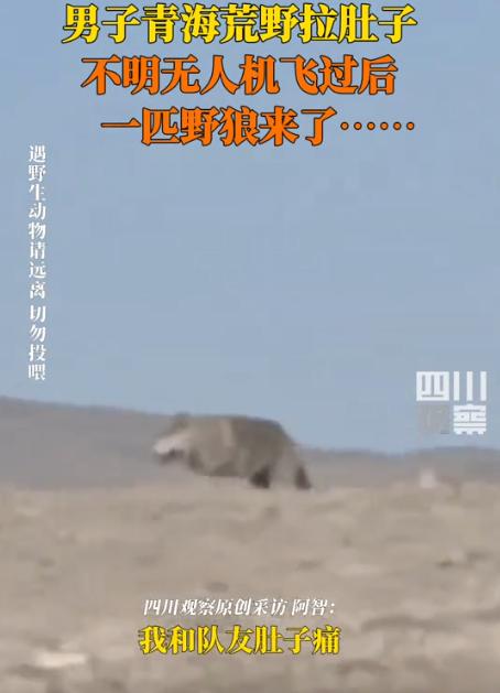 “太刺激了！”5月19日，青海玉珠峰，两男子在开车途闹肚子，因周围全是荒野无公厕