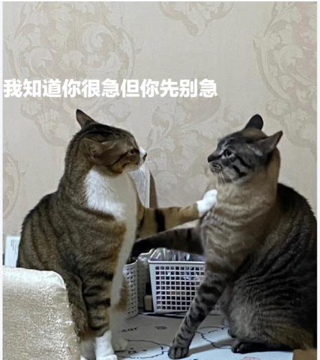 【老羊说楼市】跌跌跌跌跌......西安7月份的房价继下跌，想买房的别着急。
西