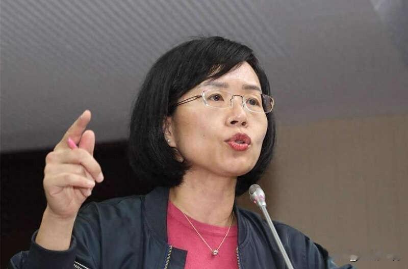 苏巧慧叫嚣：“台湾已是主权独立国家 没必要再办统独公投”

民进党新北市长候选人