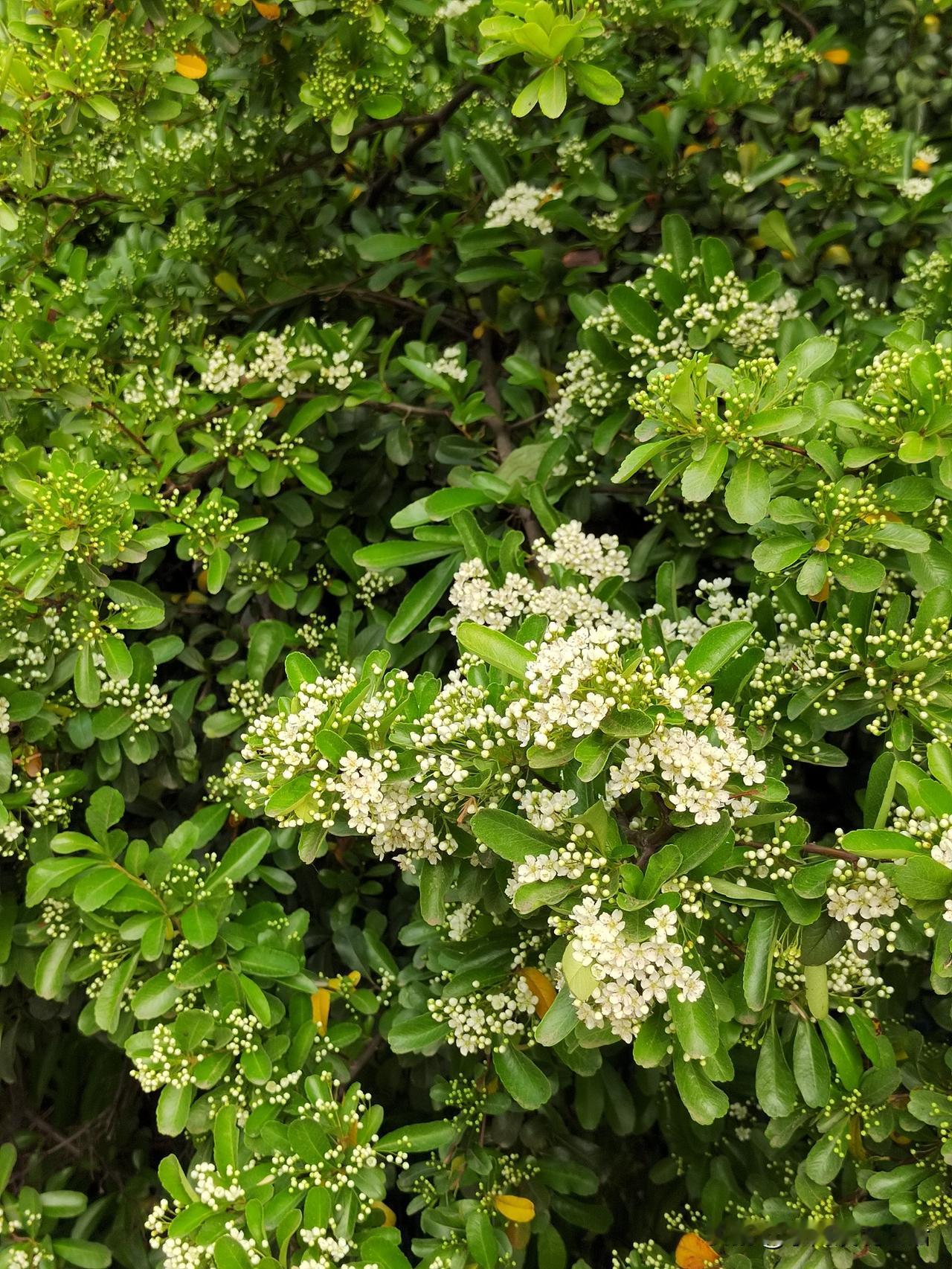 退休金一个月1万5，应该属于头部水平。
就好似头条上素老三的收入水平！
我只能望