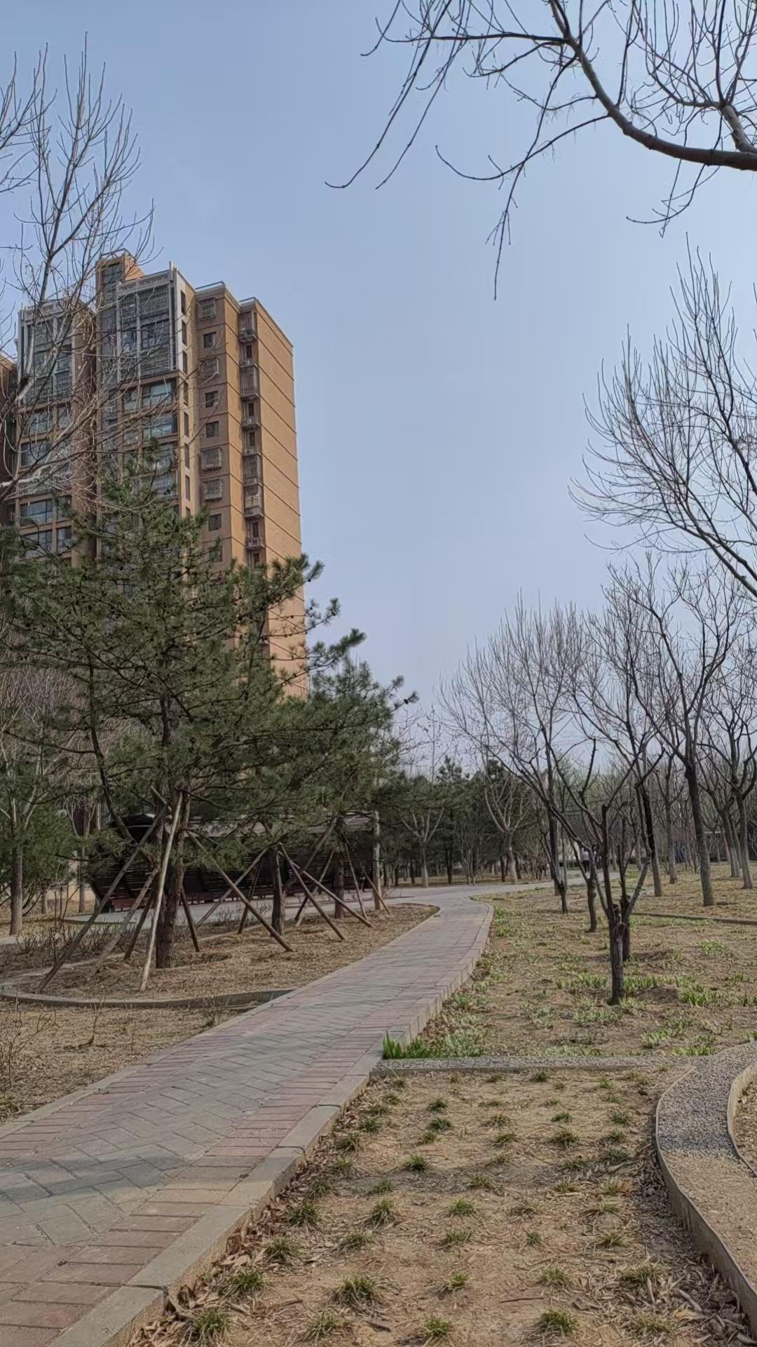 来公园溜达，蓝蓝的天空，一片宁静与祥和