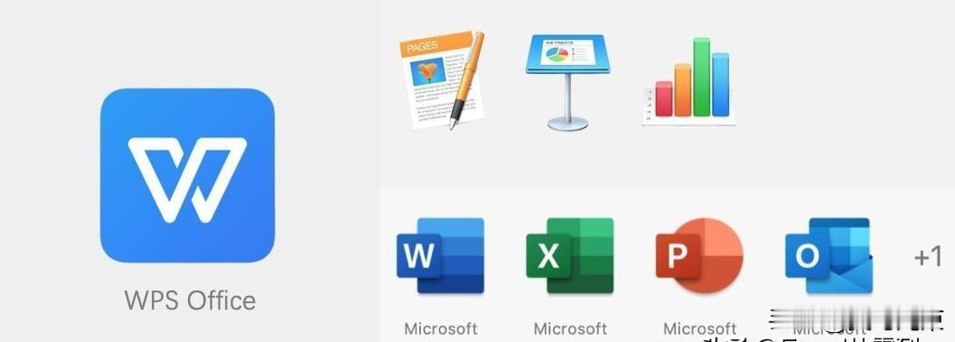 MS Office与WPS Office到底应该怎么选看完这篇你就明白了
WPS