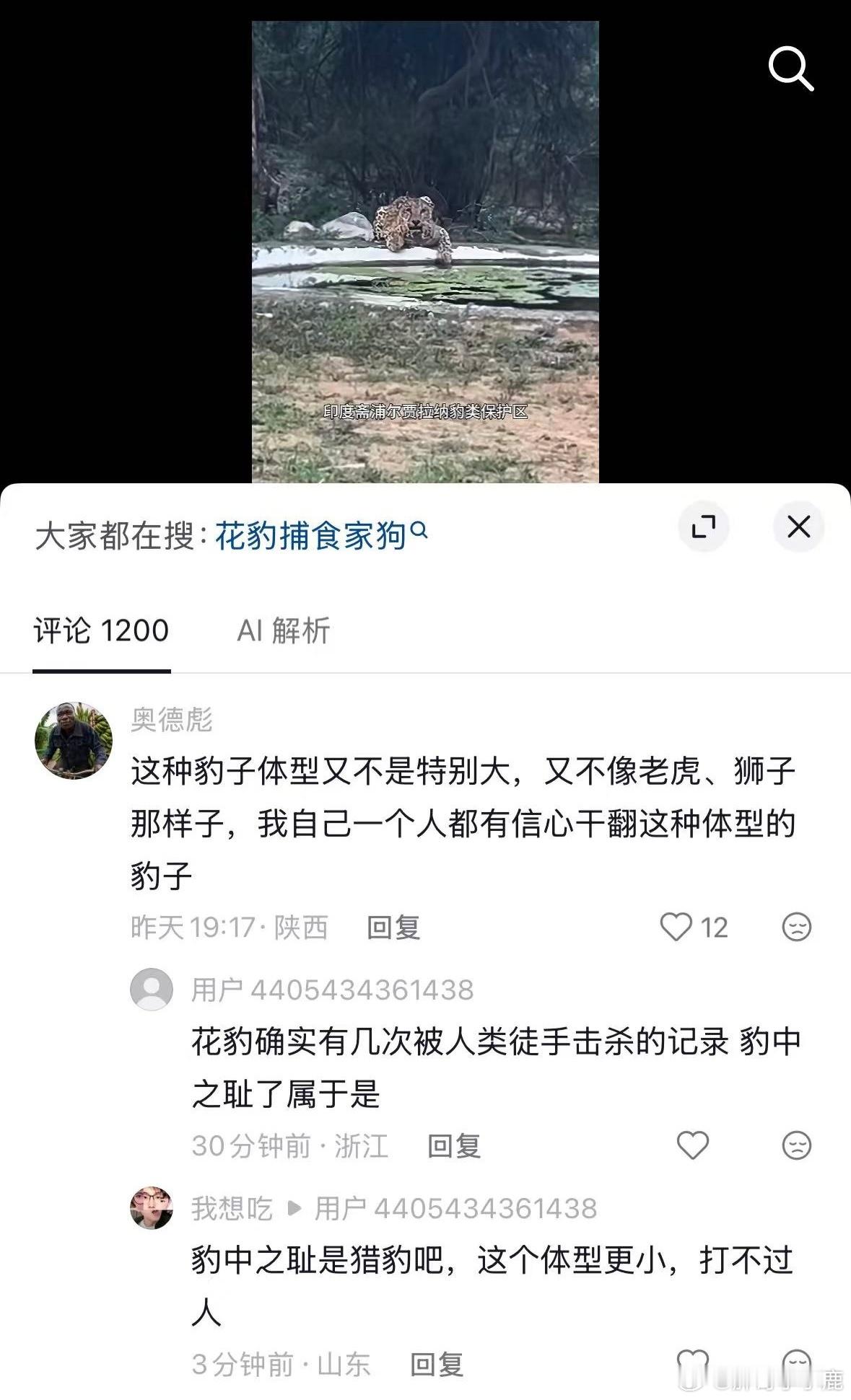 绝对力量