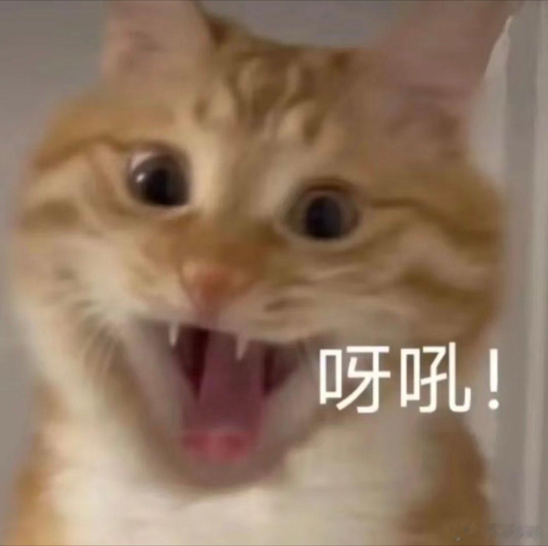 广州早茶已经NextLevel了广州茶楼是真的很会紧跟潮流，连咸煎饼都安排上可爱