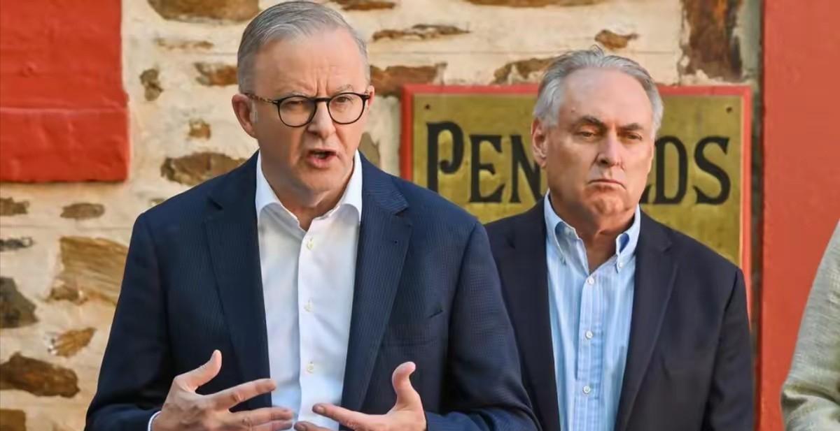 澳大利亚这次后悔得直扇自己的嘴巴，其12月31日站出来指责中方围岛演习“破坏地区