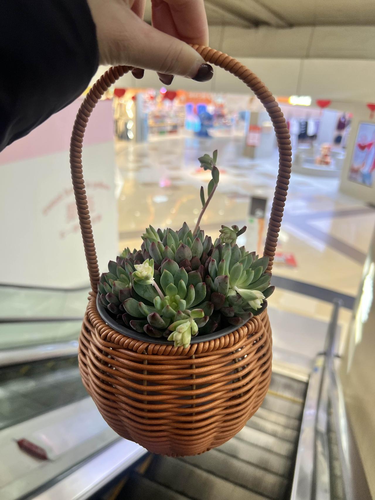 广东工厂招工的变化，真的是让人感慨，以前工厂招工都是直接和工人签合同，现在都是中