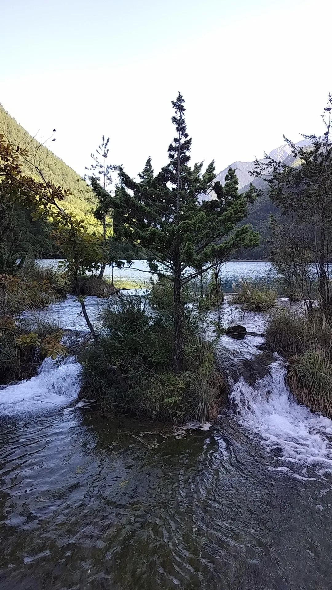 冬日生活打卡季加油