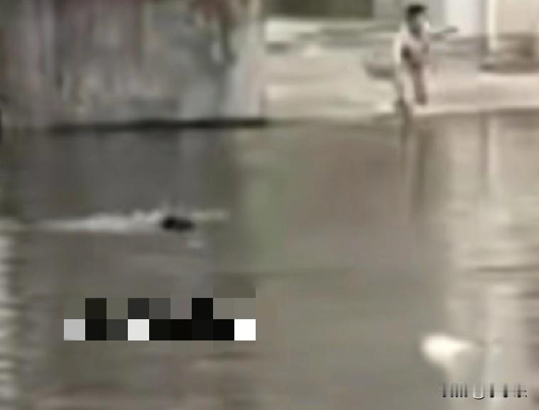 近日，鄂州市梁子湖区太和镇新城区新城湾卫家园门口塘边，传来一阵急促的呼救声，回家