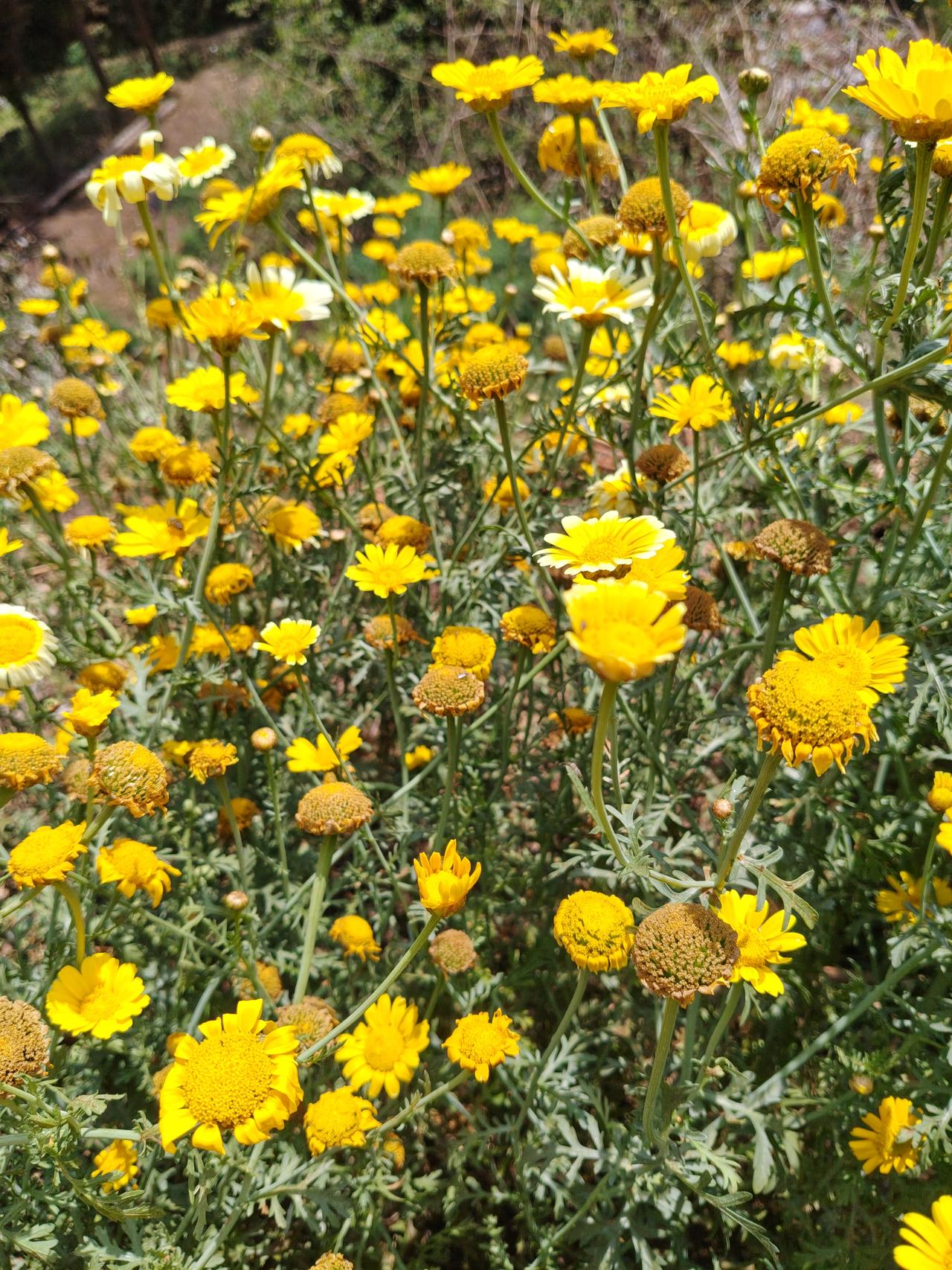 现在的A股市场，之所有看不见有持续性的上涨，是因为没有新钱进场，全是存量资金在里