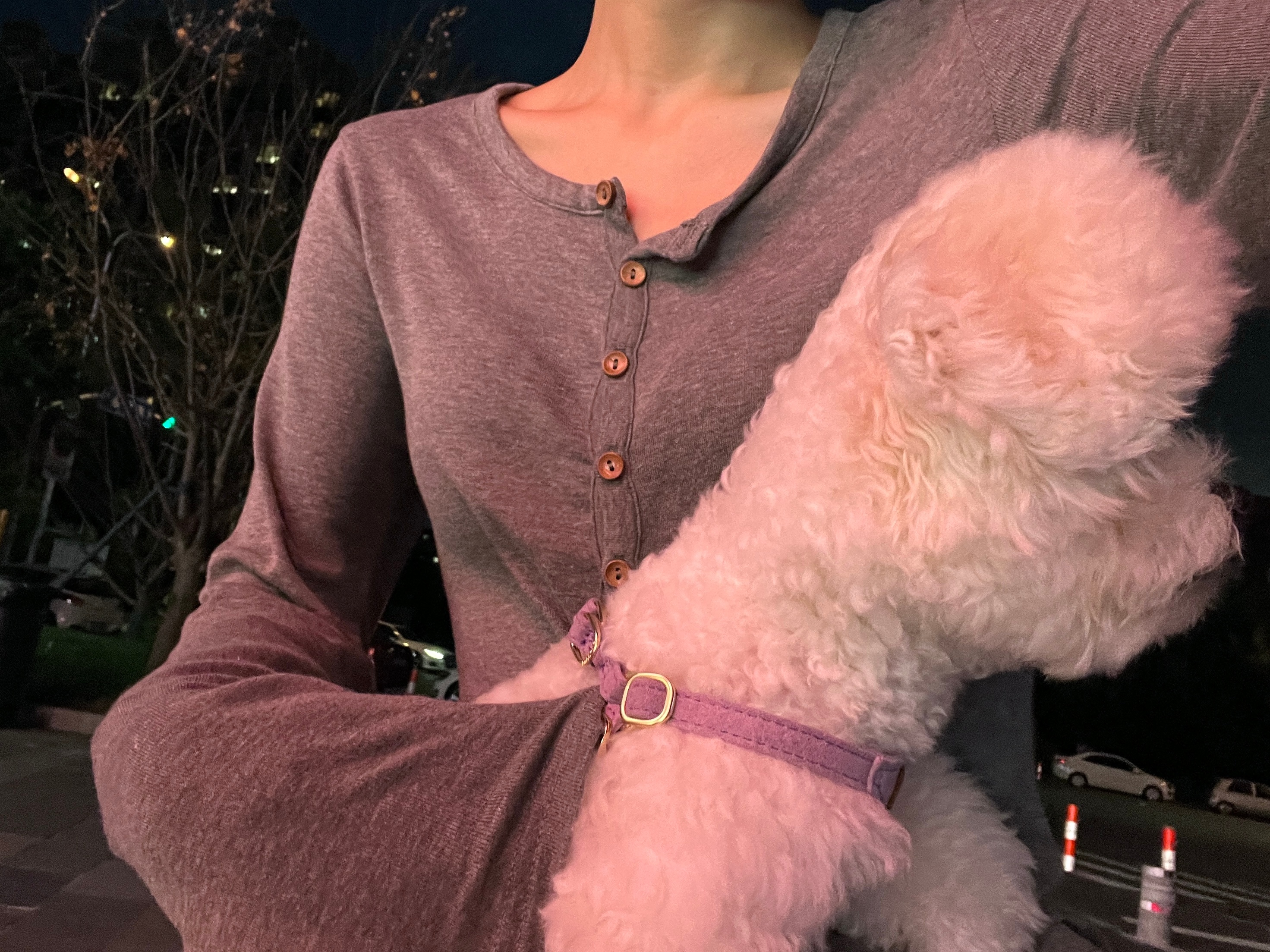 这温度降到也太快了 感觉马上就能穿羽绒服了 秋天我还没过呢[泪] ​​​
