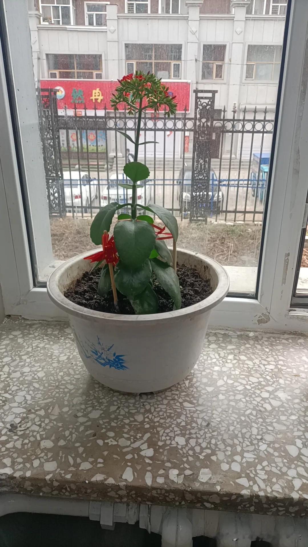 我是一个多么害怕
麻烦别人的人
怎么说呢
就是
去理发店
洗头小妹给我洗头的时候