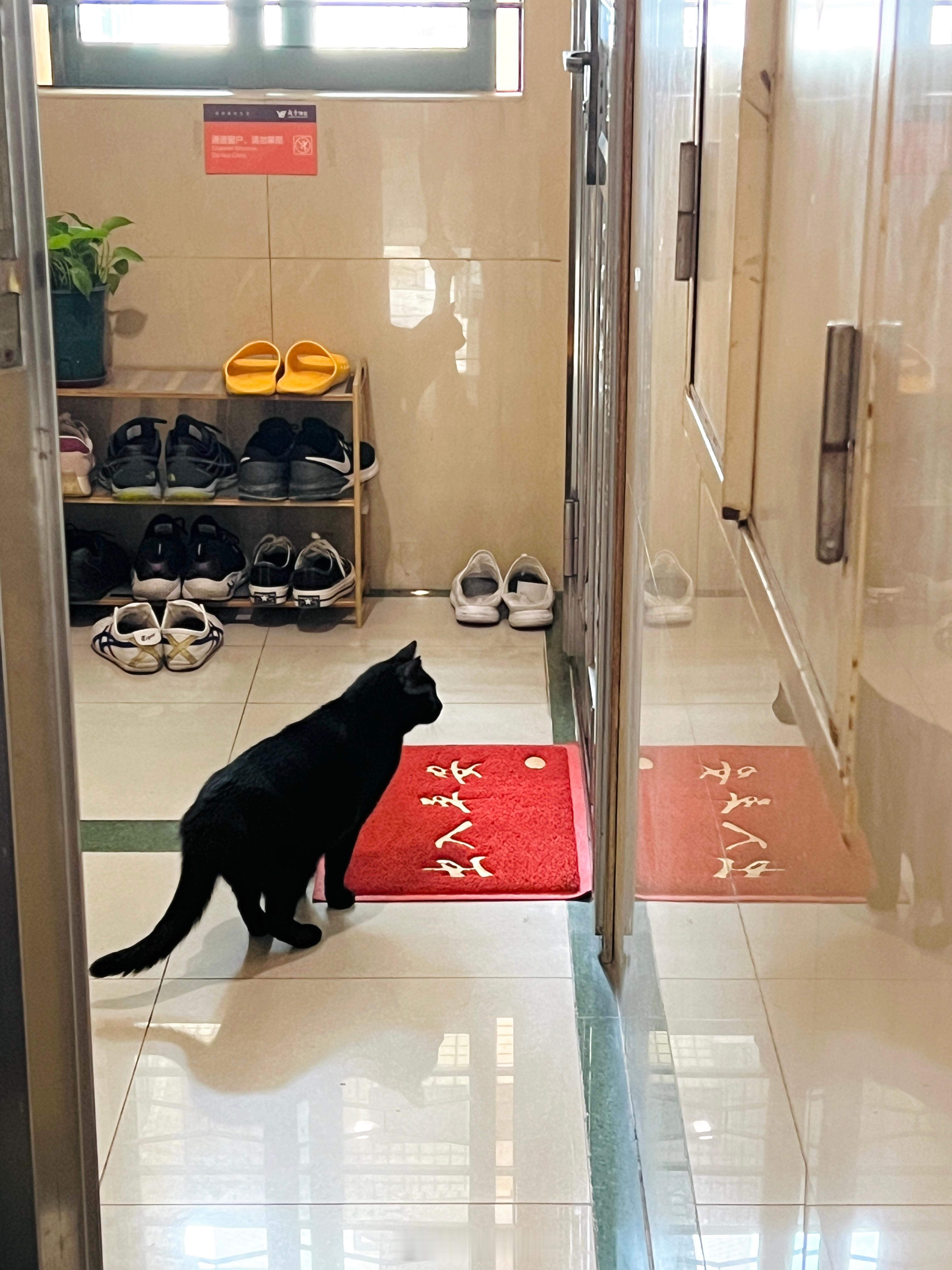 今早去偷看隔壁鄰居家的阿姨拖地。#蝦蝦不可以太可愛# ​​​