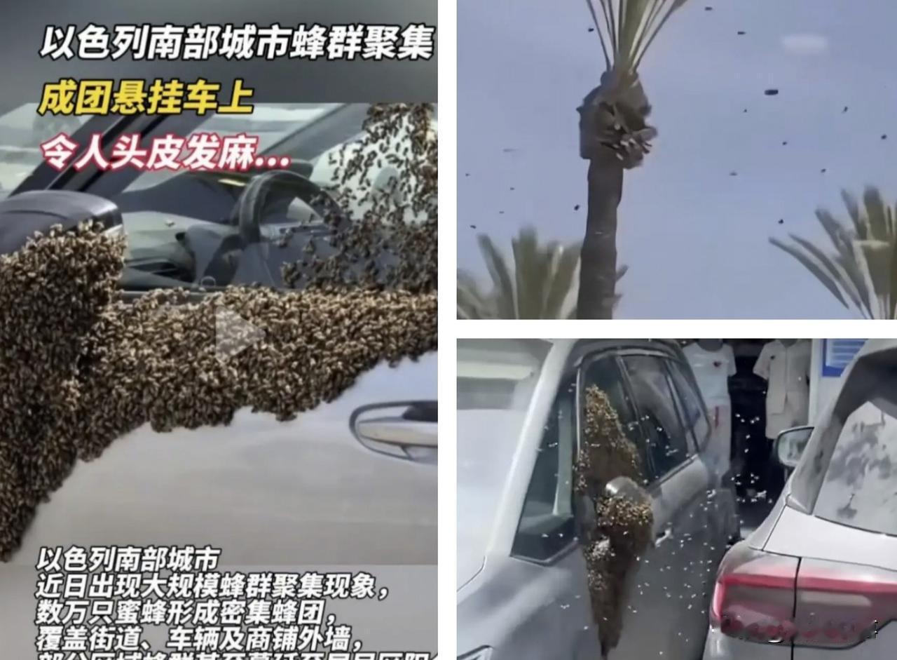 笑不活了，以色列作恶多年，妥妥的中东搅屎棍，入侵巴勒斯坦、加沙、叙利亚、黎巴嫩个