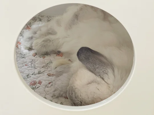 宝贝悠睡得好香香🥰😘