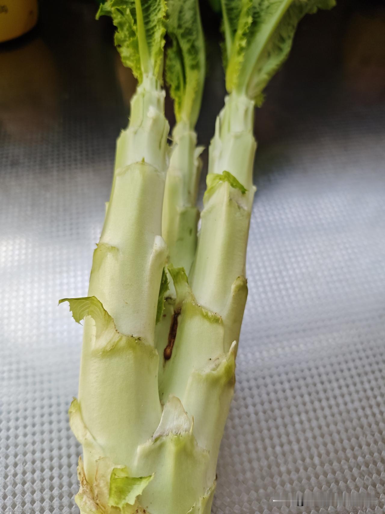 我这人特爱吃莴笋，不但吃莴笋的茎，还喜欢吃莴笋叶。

以前自己种小菜园的时候种可