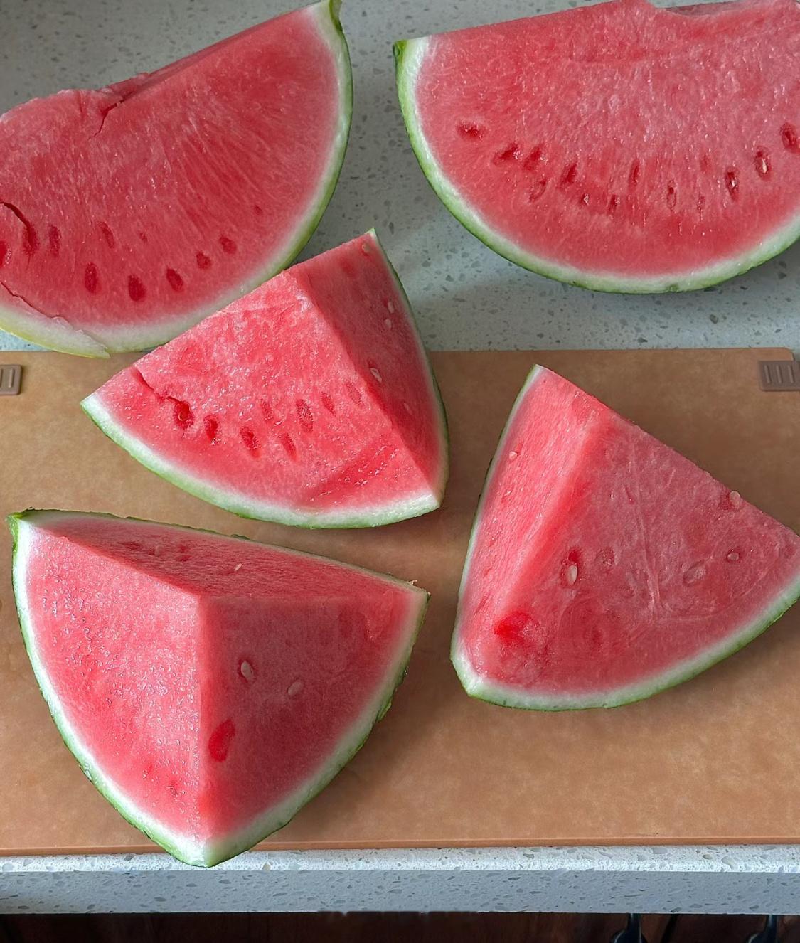 哈哈哈这西瓜一定是来报恩的🍉[干饭人] ​​​