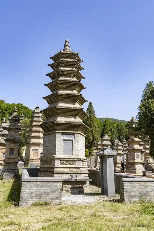 佛法无国界；家丑不可外扬；丑陋的地方；丑陋的做法太多了；可能都数不过来；一切的发