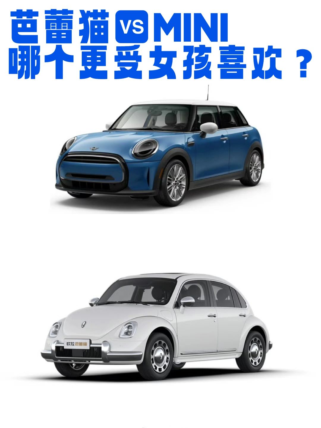 小钢炮MINI，还是芭蕾猫？