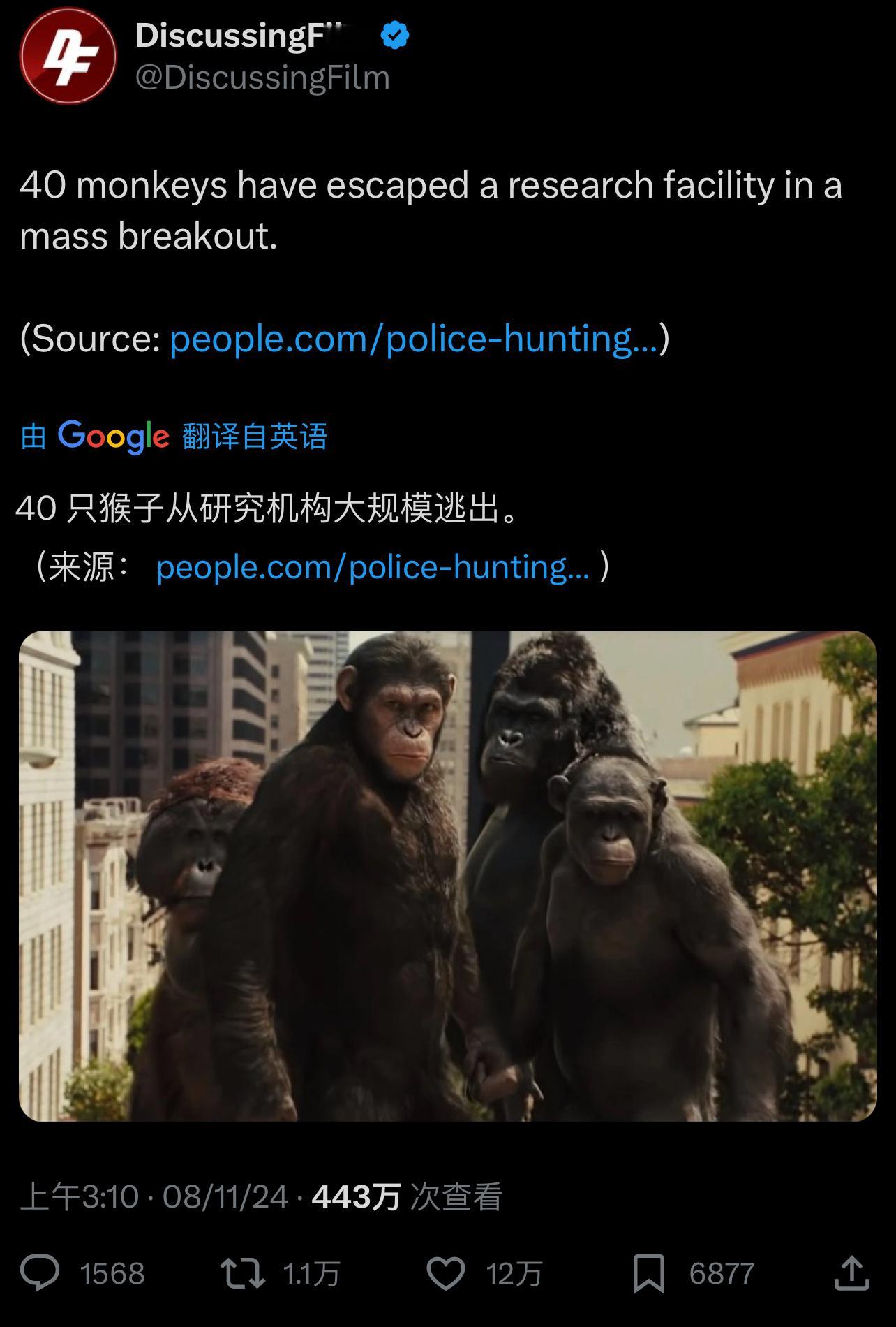 🔻猩球崛起or惊变28天？[闭嘴] ​​​