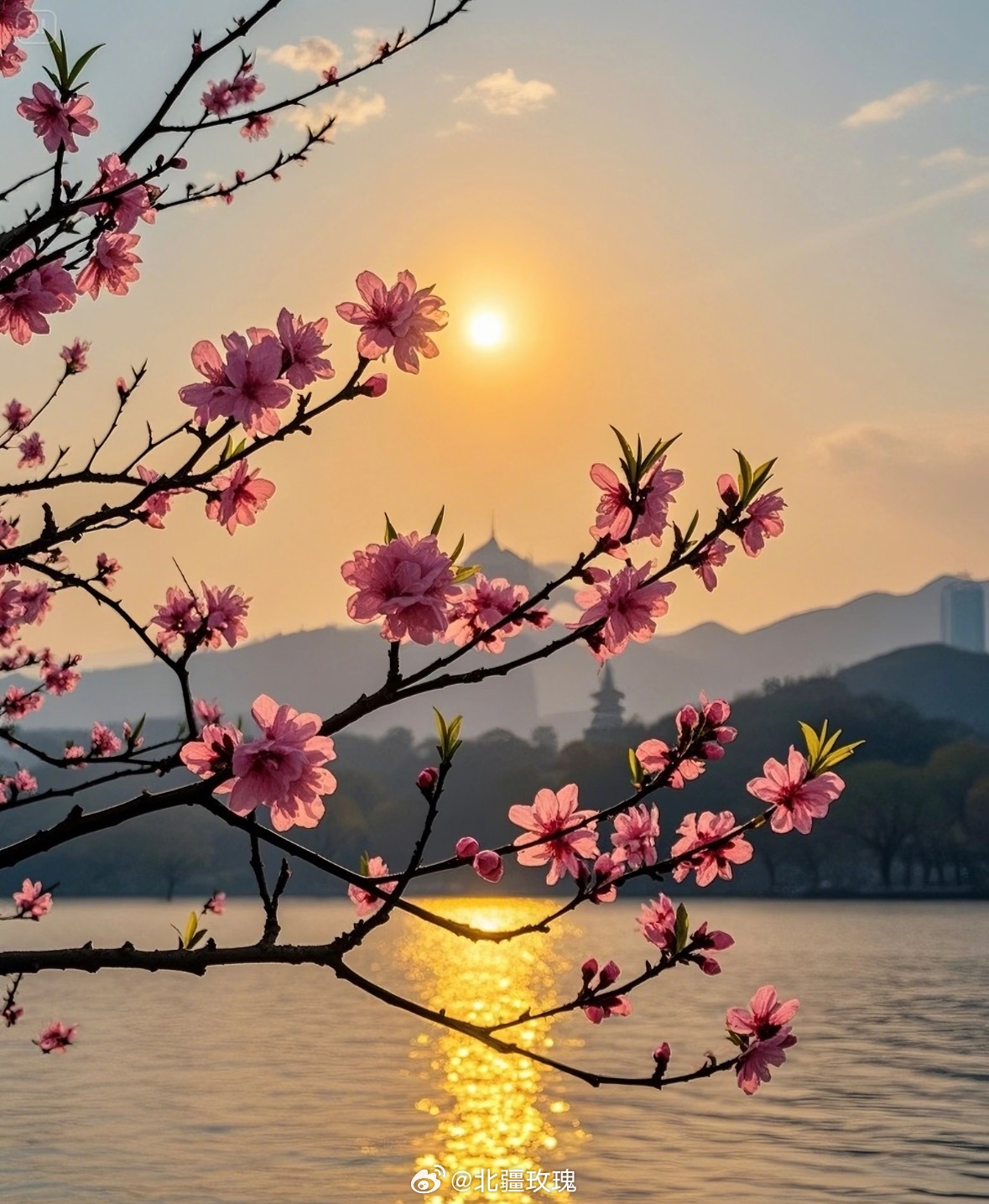 【胸中自有青山在，何必随人看桃花。】释义：人不一定要往高处走，你也可以往四处走一
