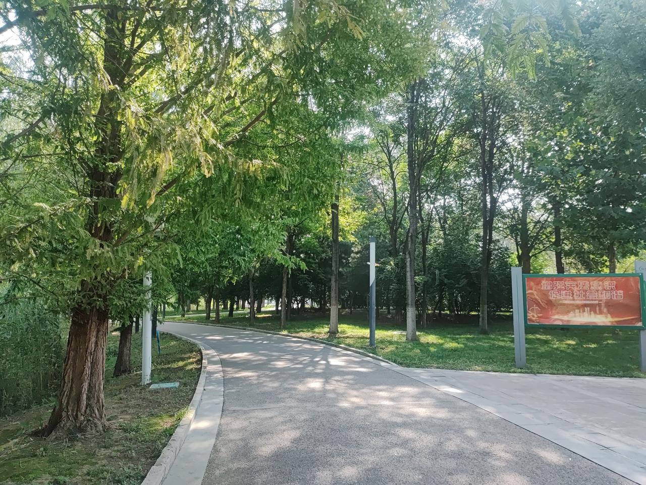 如今气温居高不下，想去公园遛弯，得抓紧八点前的清晨凉快时段。