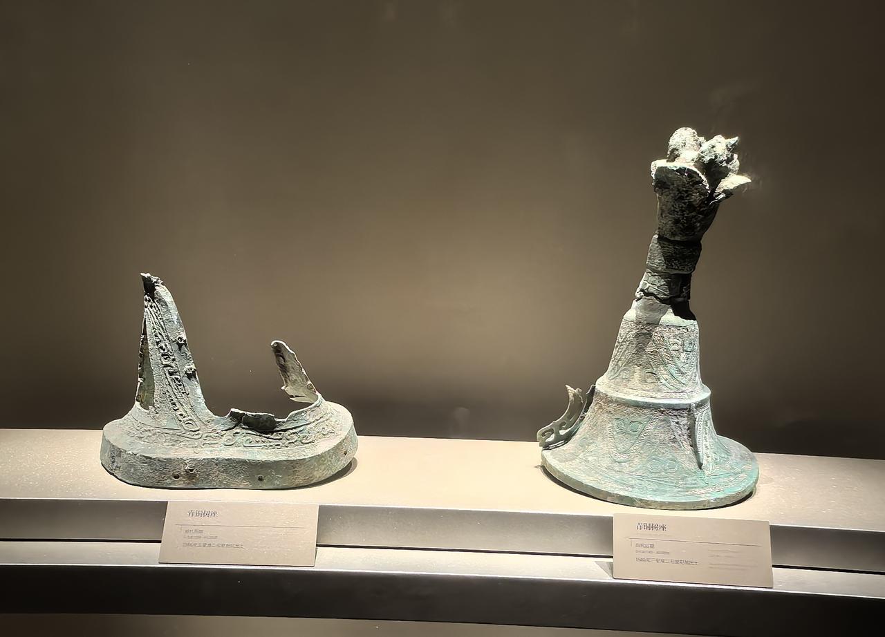 驻足展厅，一棵棵形态各异的古神树静静陈列，让人瞬间坠入一场跨越千年的遐想。
 