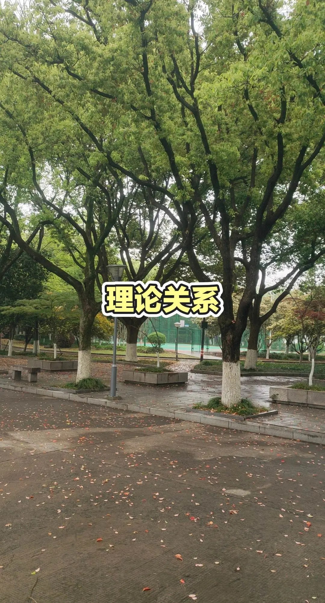 园林绿化