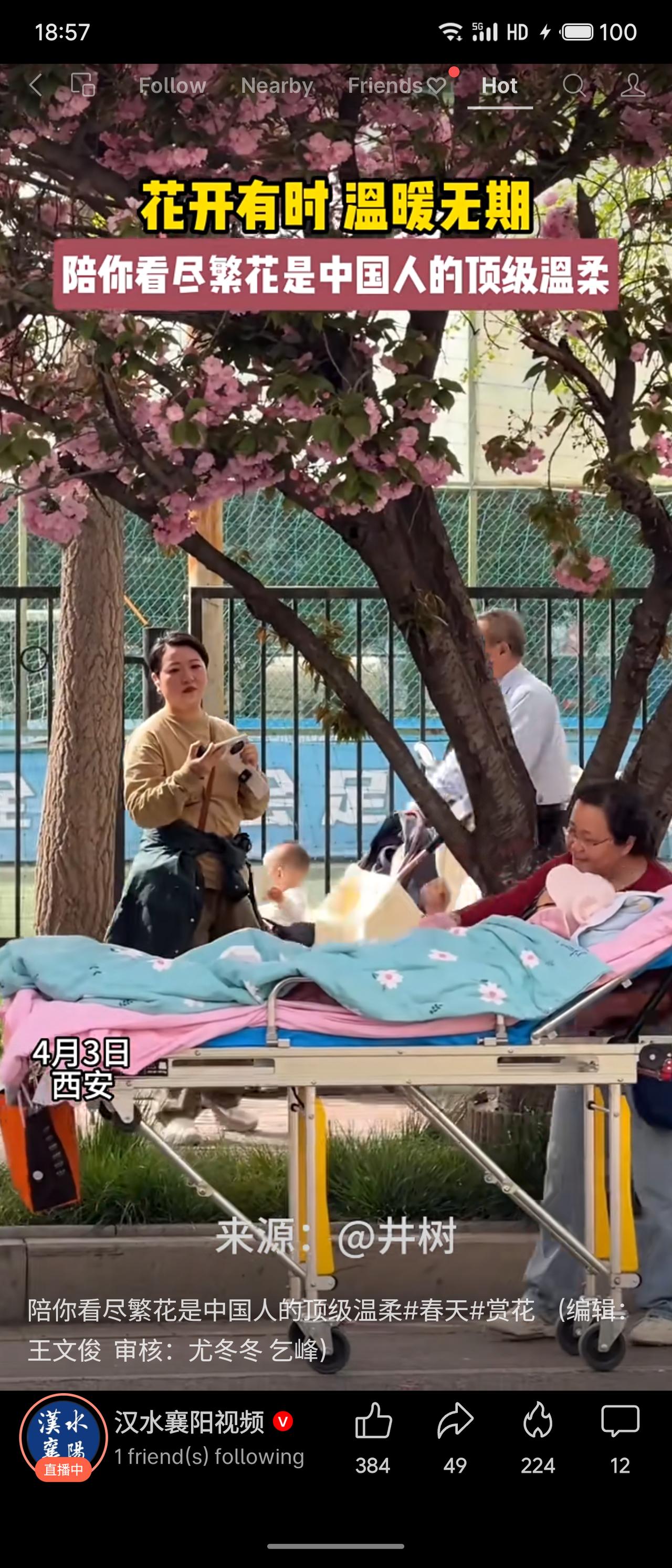 “花开有时，温暖无期。”陪你看尽繁花，是独属于中国人的含蓄浪漫。春日的西安，花事