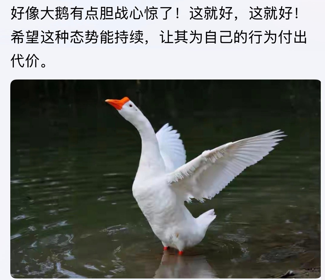 泽连斯基访美！将使美乌达成更友好的关系增进双方互信友谊。。。特朗普称泽连斯基28