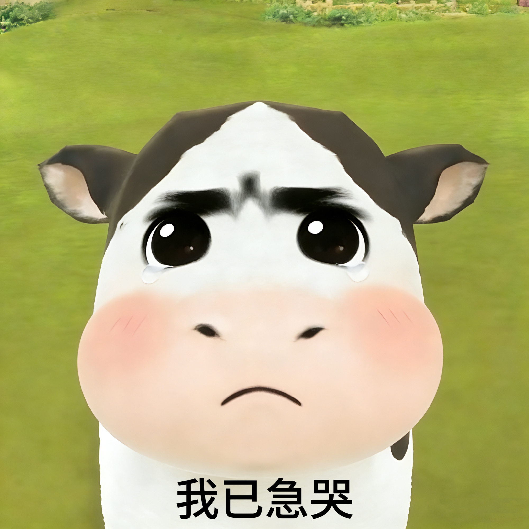 这4️⃣郝到底要咋样 