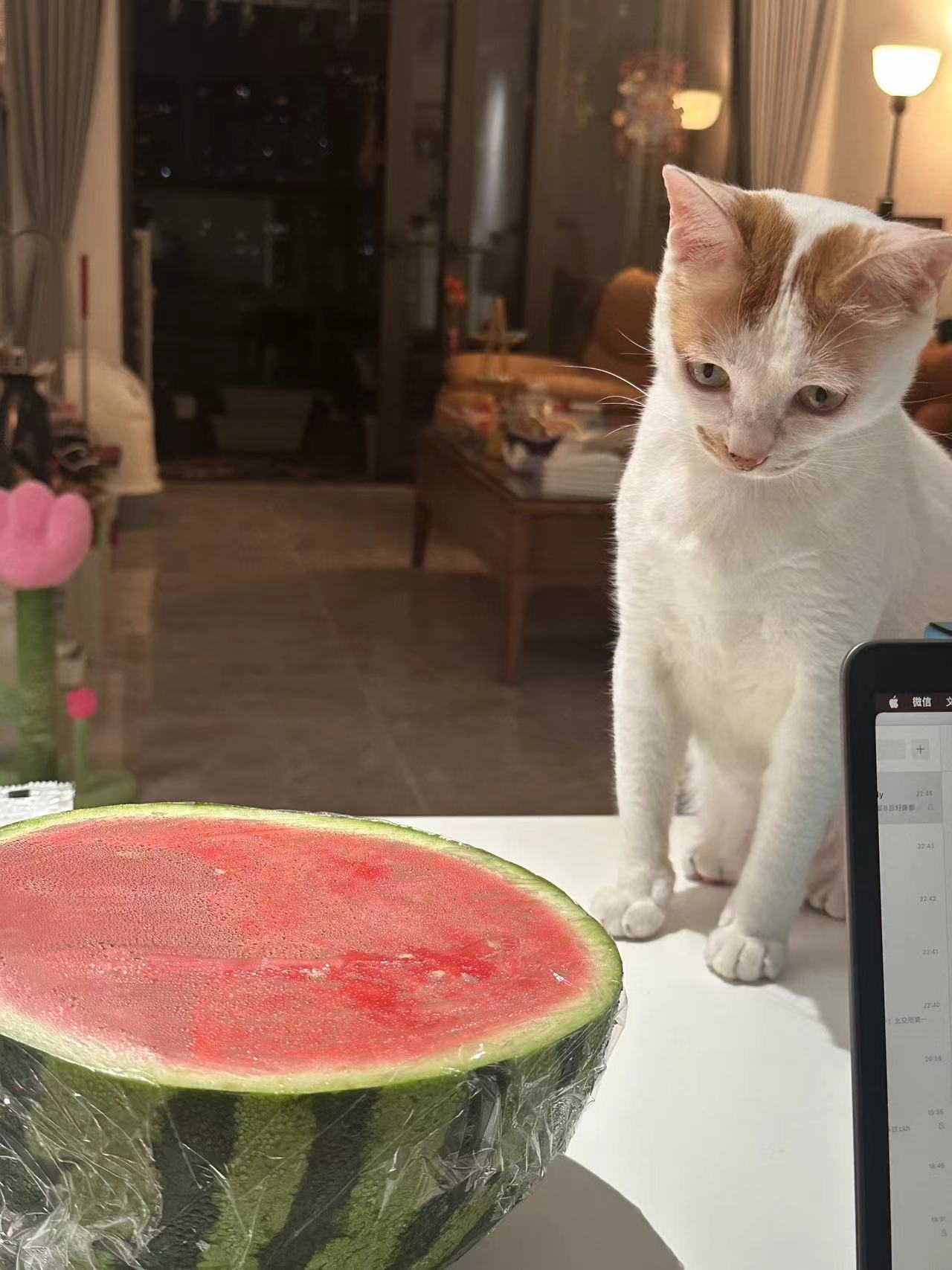 在这看了半小时，很想吃？ ​​​
