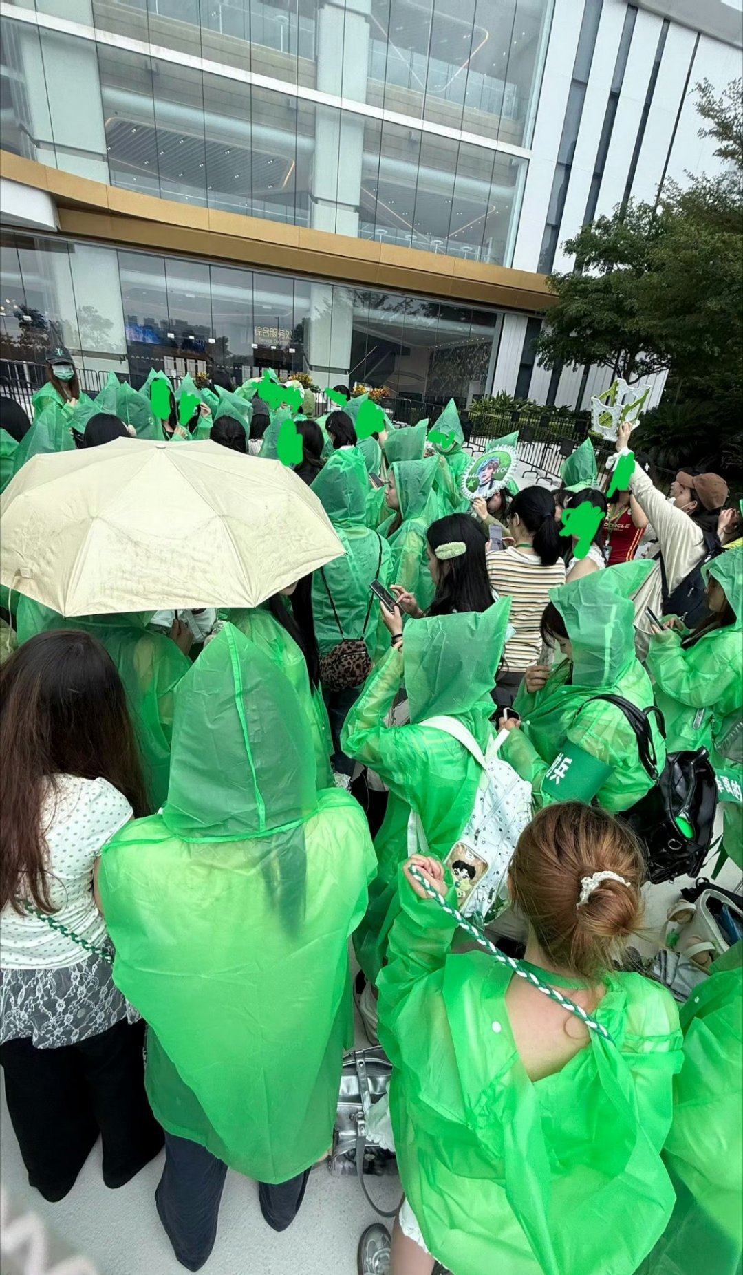 今日Top演唱会，内场灯牌和馆外排队都好多绿色啊，张泽禹这个线下人头可以的TOP